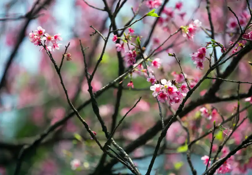 東煒大局